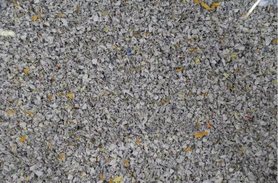 SHREDDING .jpg_.webp.jpg