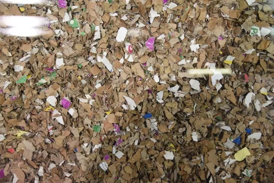 SHREDDING .jpg_.webp.jpg